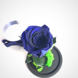 Trandafir romantic nemuritor - Albastru
