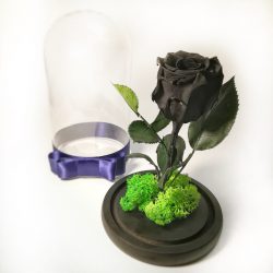 Trandafir romantic nemuritor - Negru